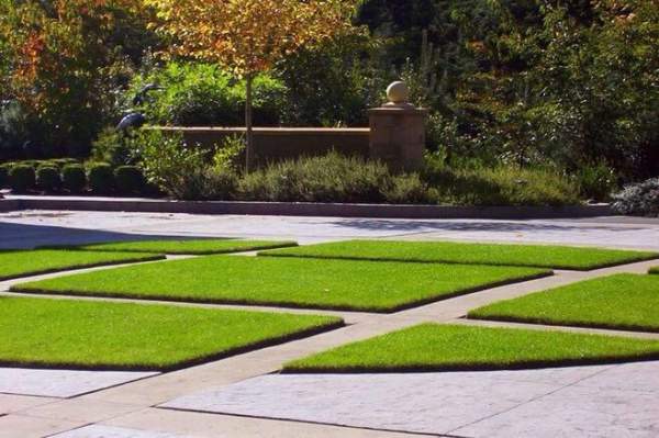 草坪設計應用 草坪設計應用