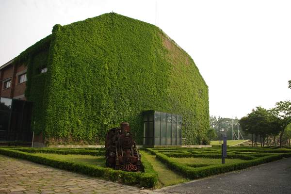 廠區(qū)周邊的爬山虎 廠區(qū)周邊的爬山虎