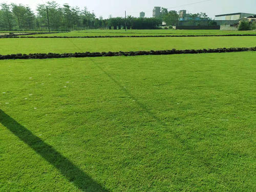 1647536046899945.jpg 1647536046899945.jpg