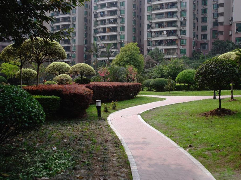 小區庭院住宅院子園林綠化苗木品種 小區庭院住宅院子園林綠化苗木品種