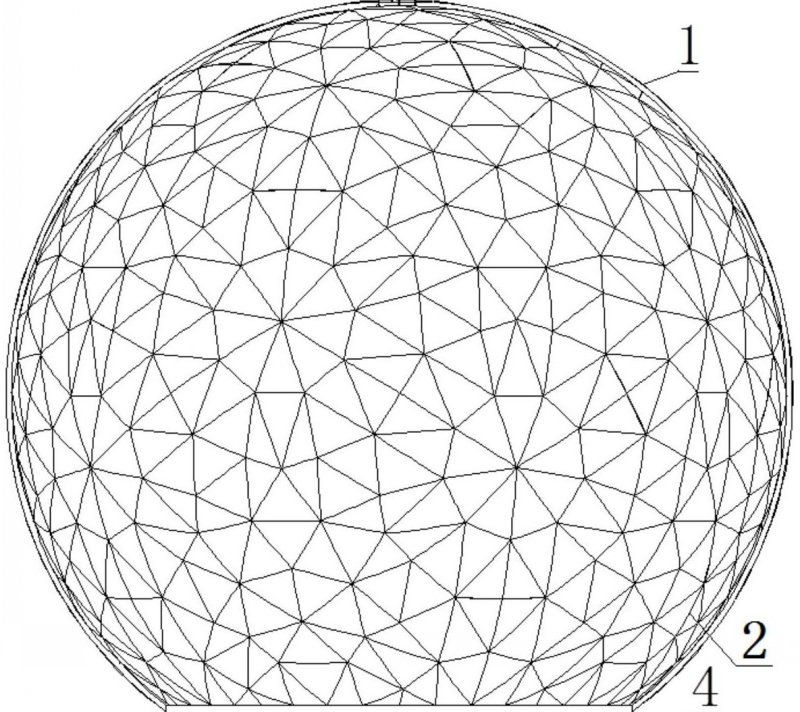 球類(lèi)植物 球類(lèi)植物